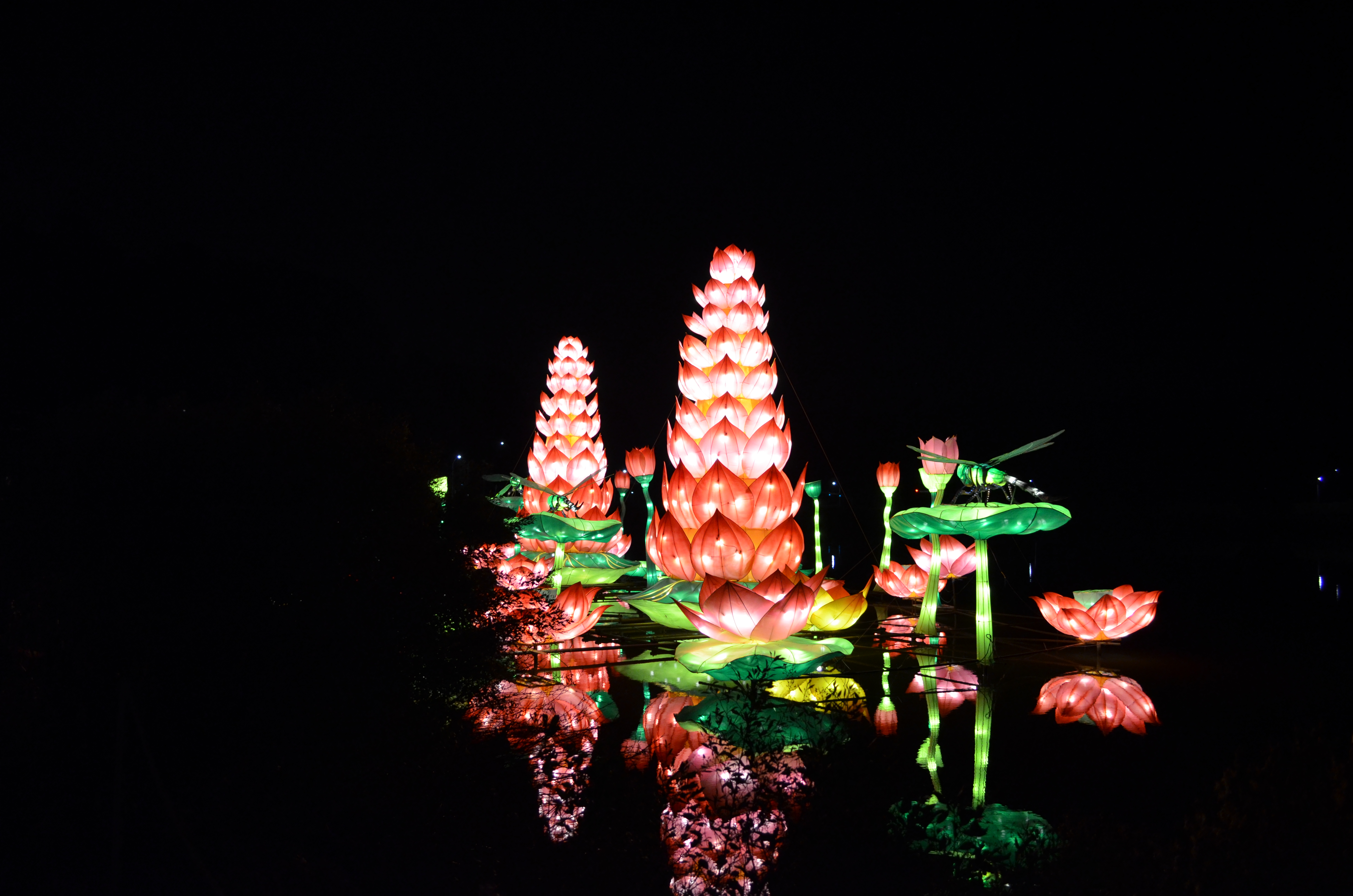 ./2015/33 - Chinese Lantern Festival/DSC_0632.JPG